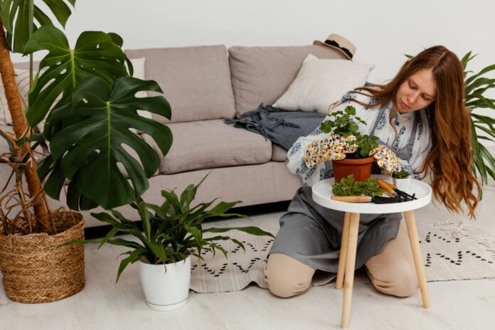 Eco-Friendly Home Décor Trends for 2025: Sustainable & Stylish Ideas